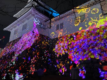 福山城400年博-FUKUYAMA CASTLE EXPO 2022- RCC開局70年 「チームラボ 福山城 光の祭」に投稿された画像（2023/1/11）