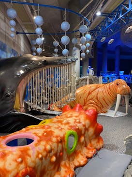 大分マリーンパレス水族館 「うみたまご」に投稿された画像（2023/1/11）