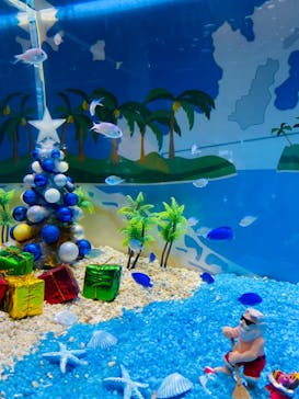 大分マリーンパレス水族館 「うみたまご」に投稿された画像（2023/1/11）