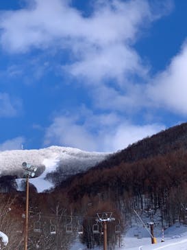 会津高原たかつえスキー場に投稿された画像（2023/1/11）