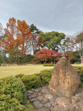 元離宮二条城に投稿された画像（2023/1/11）