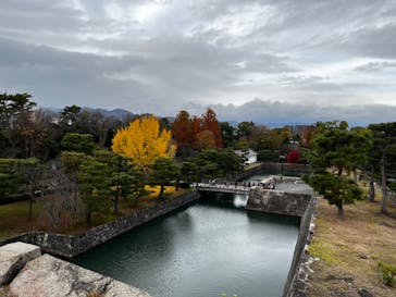 元離宮二条城に投稿された画像（2023/1/11）