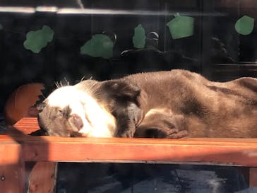 ゼロ距離水族館 伊勢シーパラダイスに投稿された画像（2023/1/11）