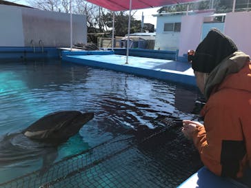 ゼロ距離水族館 伊勢シーパラダイスに投稿された画像（2023/1/11）