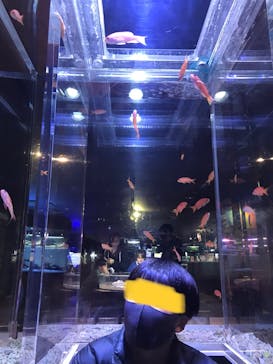 ゼロ距離水族館 伊勢シーパラダイスに投稿された画像（2023/1/11）