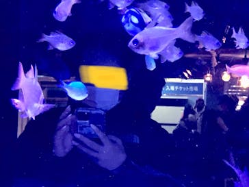 ゼロ距離水族館 伊勢シーパラダイスに投稿された画像（2023/1/11）
