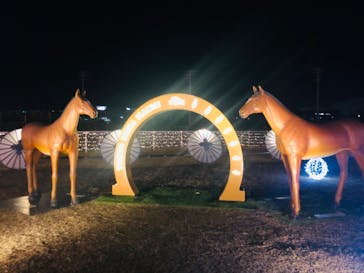 東京メガイルミに投稿された画像（2023/1/11）