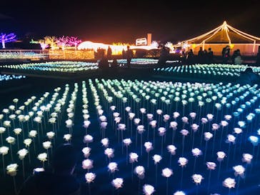 東京メガイルミに投稿された画像（2023/1/11）