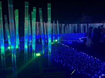 東京メガイルミに投稿された画像（2023/1/11）