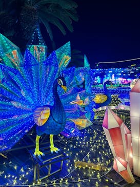 伊豆ぐらんぱる公園に投稿された画像（2023/1/11）