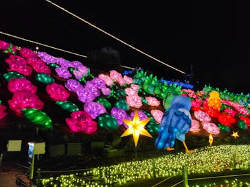 伊豆ぐらんぱる公園に投稿された画像（2023/1/11）