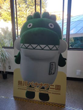 熱川バナナワニ園に投稿された画像（2023/1/11）