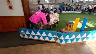 ノーザンホースパークに投稿された画像（2023/1/11）