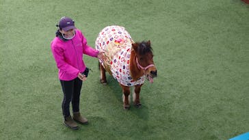 ノーザンホースパークに投稿された画像（2023/1/11）