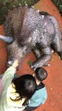 御菓子御殿　名護店　やんばる亜熱帯の森DINO恐竜PARKに投稿された画像（2023/1/12）