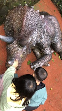 御菓子御殿　名護店　やんばる亜熱帯の森DINO恐竜PARKに投稿された画像（2023/1/11）