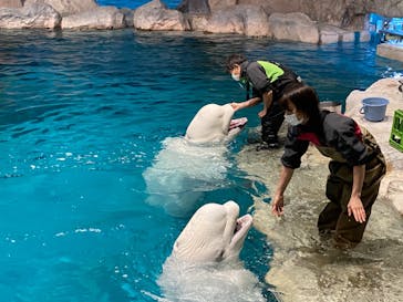 名古屋港水族館に投稿された画像（2023/1/12）