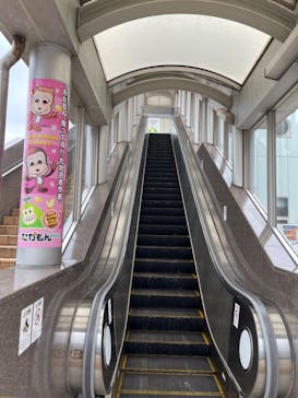 大分マリーンパレス水族館 「うみたまご」に投稿された画像（2023/1/12）