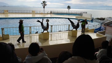 マリンワールド海の中道に投稿された画像（2023/1/12）