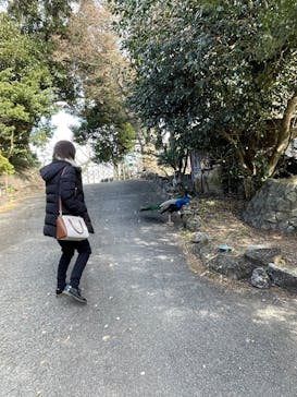 伊豆シャボテン動物公園に投稿された画像（2023/1/12）