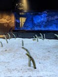 すみだ水族館に投稿された画像（2023/1/12）