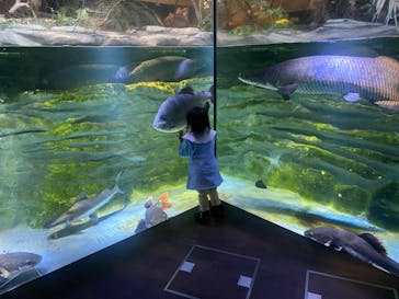 カワスイ 川崎⽔族館に投稿された画像（2023/1/12）