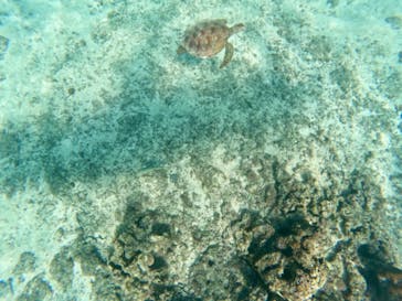 SUP SHOP 海楽 宮古島店に投稿された画像（2023/1/12）