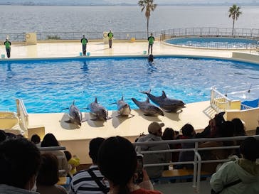 マリンワールド海の中道に投稿された画像（2023/1/12）