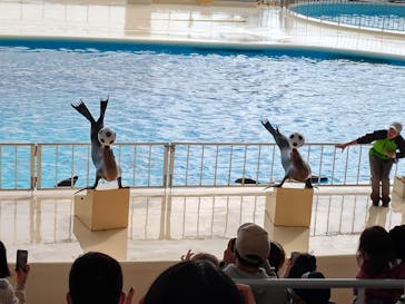 マリンワールド海の中道に投稿された画像（2023/1/12）