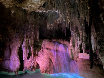 おきなわワールドに投稿された画像（2023/1/12）