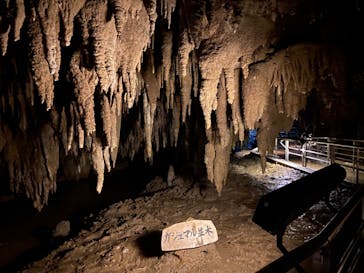 おきなわワールドに投稿された画像（2023/1/12）