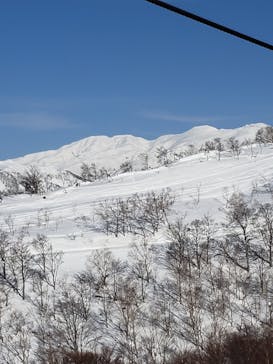 スキージャム勝山に投稿された画像（2023/1/13）