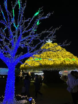 東京メガイルミに投稿された画像（2023/1/13）