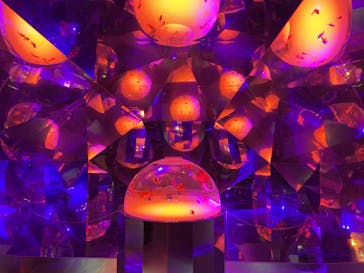 登別マリンパークニクスに投稿された画像（2023/1/13）