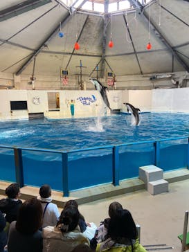 登別マリンパークニクスに投稿された画像（2023/1/13）