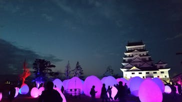 福山城400年博-FUKUYAMA CASTLE EXPO 2022- RCC開局70年 「チームラボ 福山城 光の祭」に投稿された画像（2023/1/13）