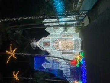 美らヤシパークオキナワ・東南植物楽園に投稿された画像（2023/1/13）