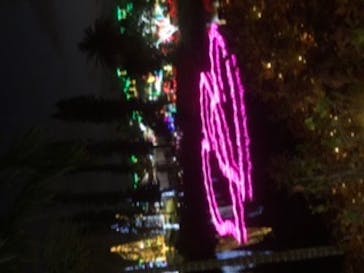 美らヤシパークオキナワ・東南植物楽園に投稿された画像（2023/1/13）