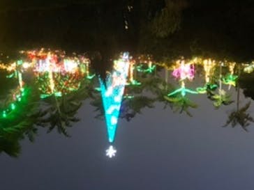 美らヤシパークオキナワ・東南植物楽園に投稿された画像（2023/1/13）