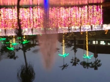 美らヤシパークオキナワ・東南植物楽園に投稿された画像（2023/1/13）