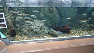 しながわ水族館に投稿された画像（2023/1/13）