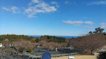 伊豆ぐらんぱる公園に投稿された画像（2023/1/13）