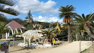 伊豆ぐらんぱる公園に投稿された画像（2023/1/13）