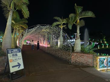 美らヤシパークオキナワ・東南植物楽園に投稿された画像（2023/1/13）