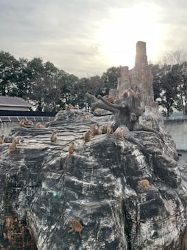 東武動物公園に投稿された画像（2023/1/13）