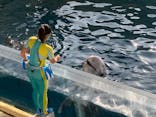 新江ノ島水族館に投稿された画像（2023/1/13）