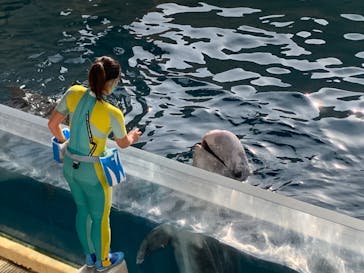 新江ノ島水族館に投稿された画像（2023/1/13）