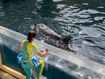 新江ノ島水族館に投稿された画像（2023/1/13）