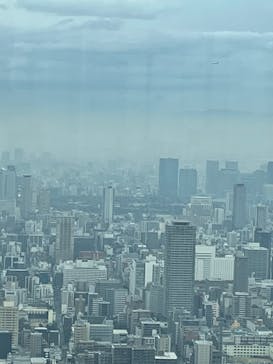 ハルカス300(展望台)に投稿された画像（2023/1/13）