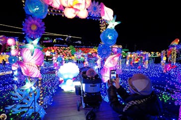 伊豆ぐらんぱる公園に投稿された画像（2023/1/13）